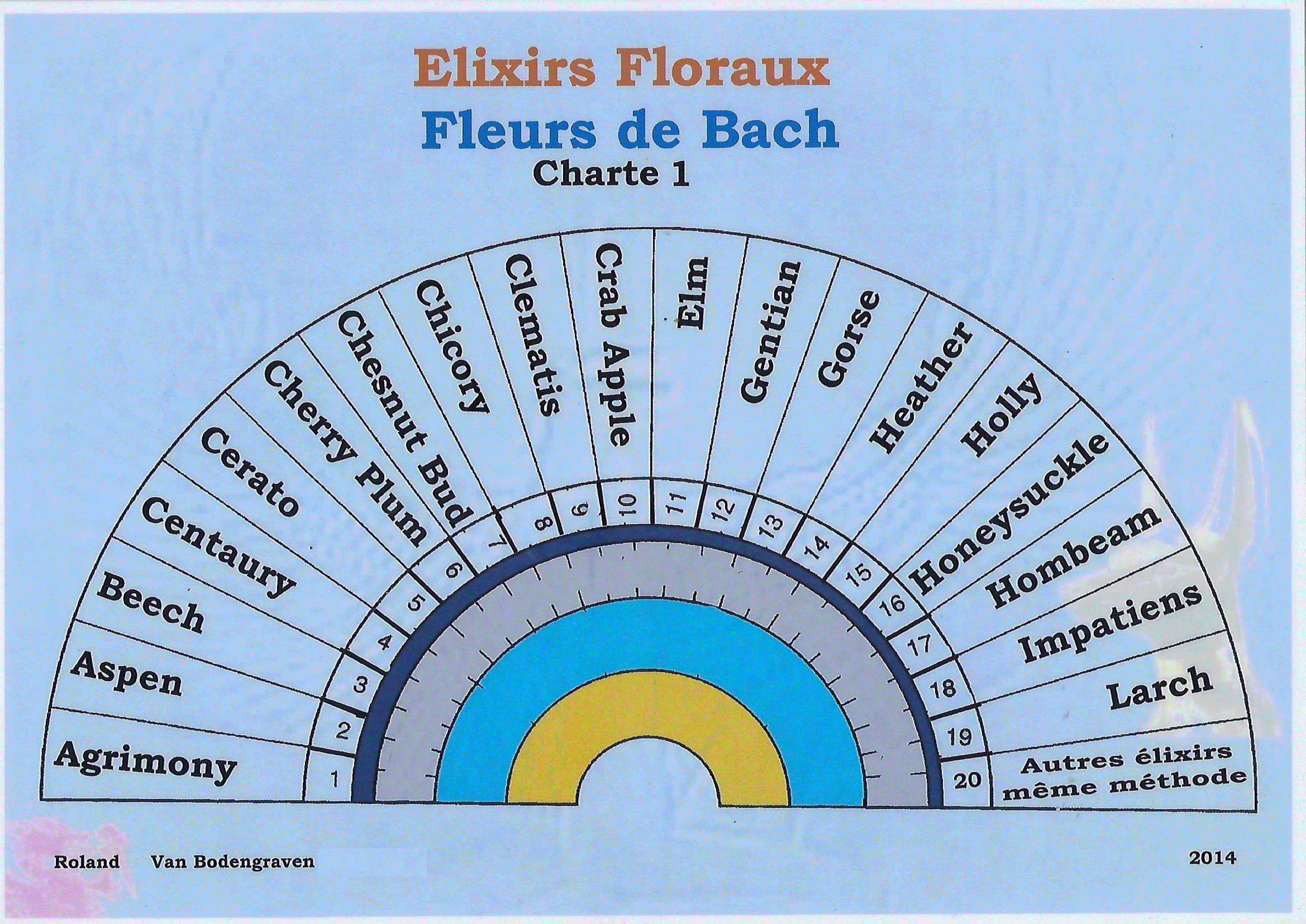 Charte Exlir Bach 2